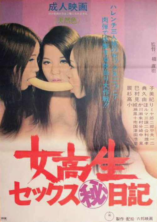 Schoolgirl Sex Diary Poster