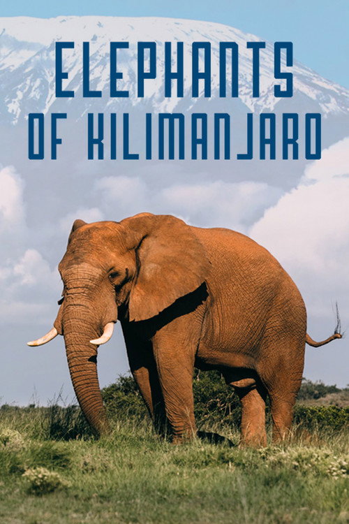 Elephants of Kilimanjaro Poster