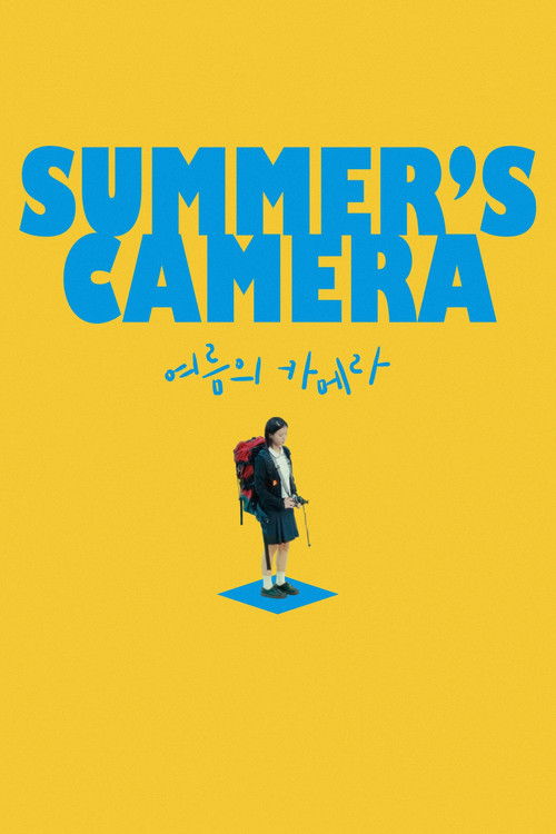Summer's Camera Poster