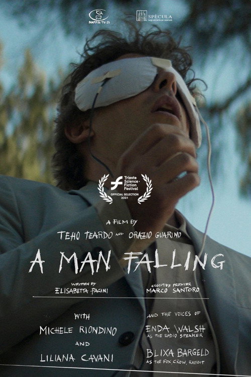 A Man Falling Poster