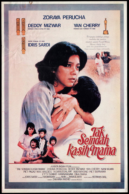 Not as Beautiful as a Mother's Love Poster