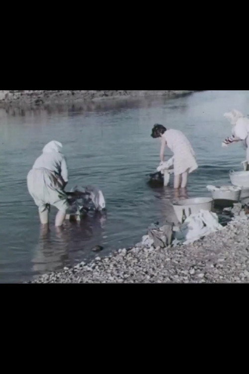 Un feudo d'acqua Poster