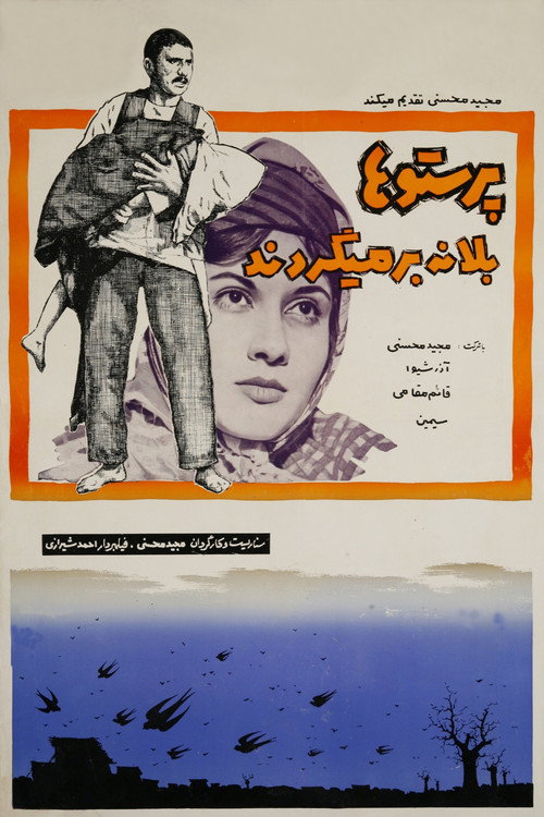 Parastuha be laneh barmigardand Poster
