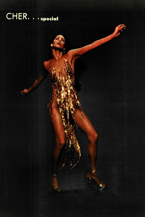 Cher... Special Poster