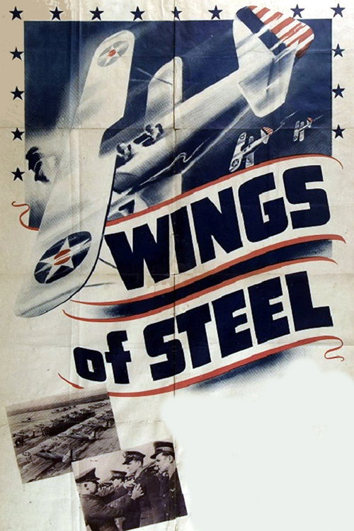 Wings of Steel Poster