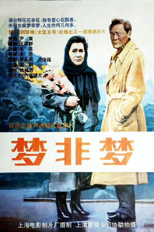 梦非梦 Poster