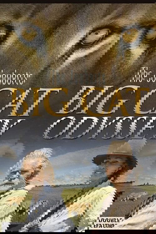 Big Cat Odyssey Poster