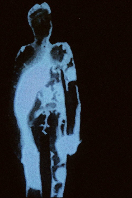 Il Vitello D'Oro Poster