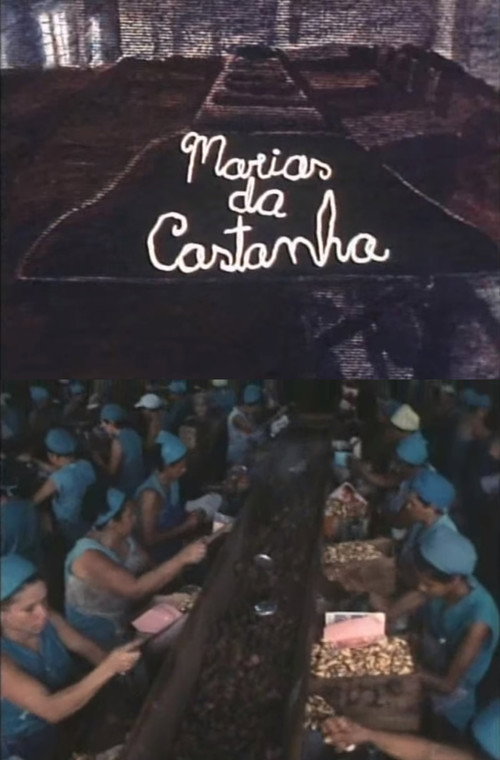Marias da Castanha Poster