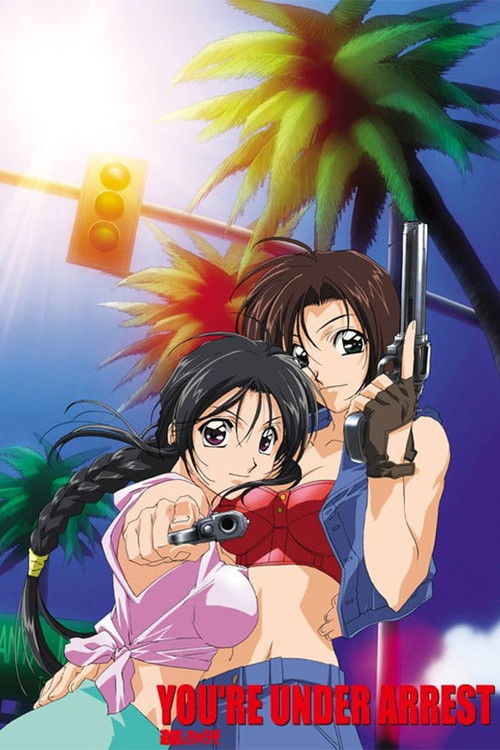 You're Under Arrest: No Mercy!! Poster