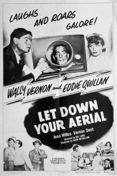 Let Down Your Aerial Poster