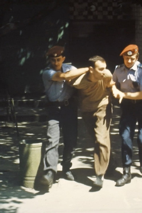 The Public Order Protection System in Ukraine Poster