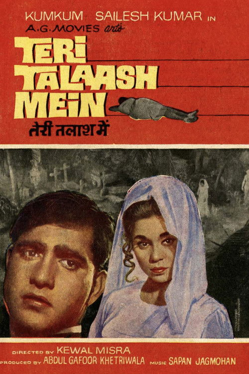 Teri Talaash Mein Poster