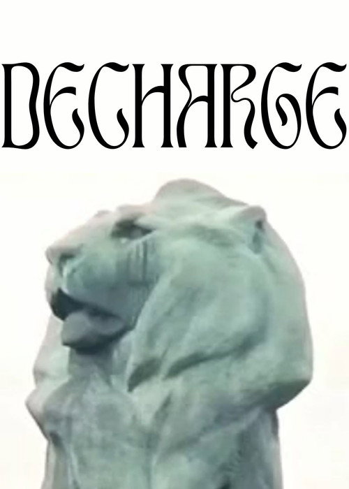 Décharge Poster