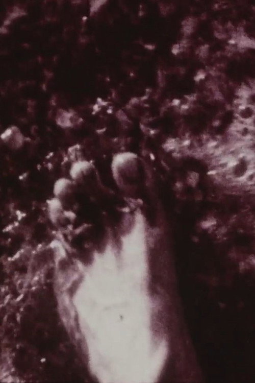 Footprints Poster