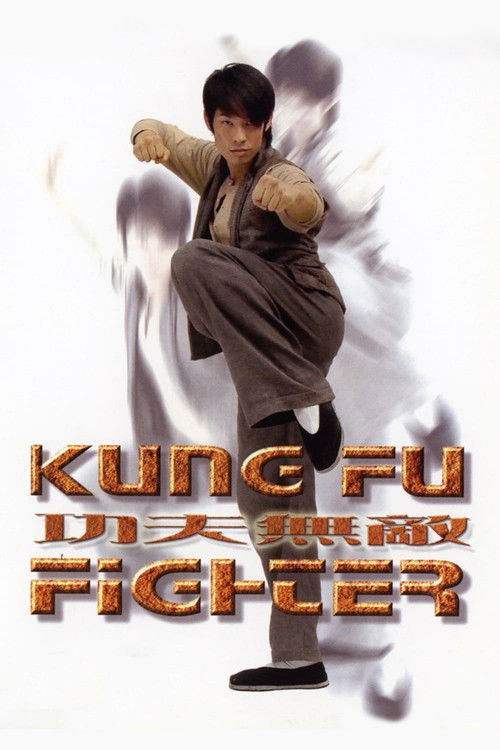 Kung Fu Fighter Poster