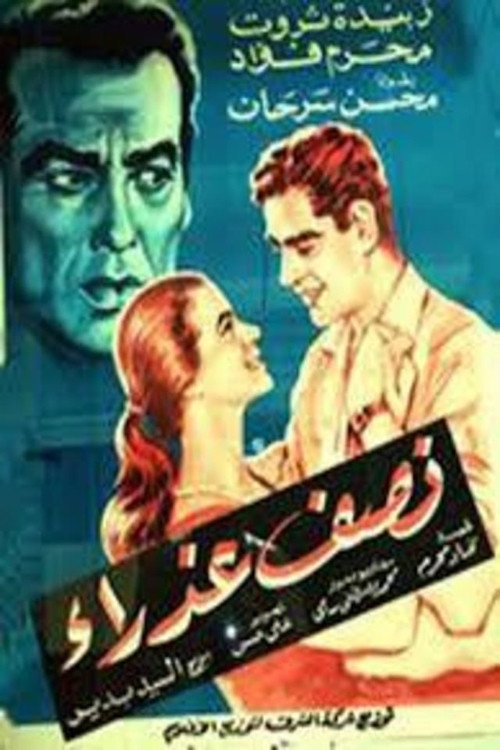 نصف عذراء Poster