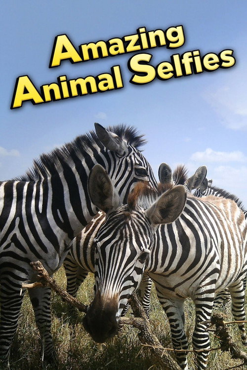 Amazing Animal Selfies Poster
