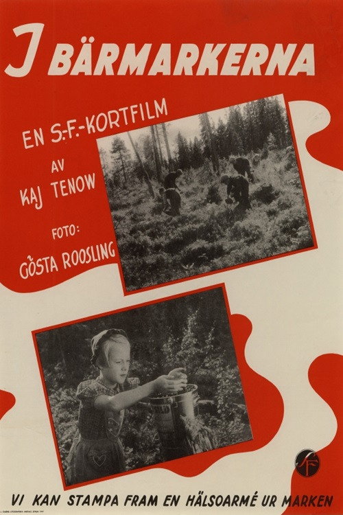 In the Berry Fields Poster