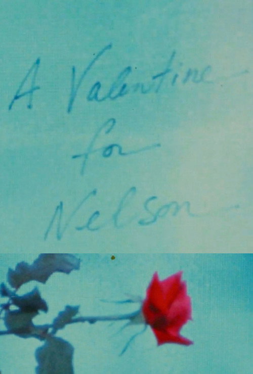 A Valentine for Nelson Poster