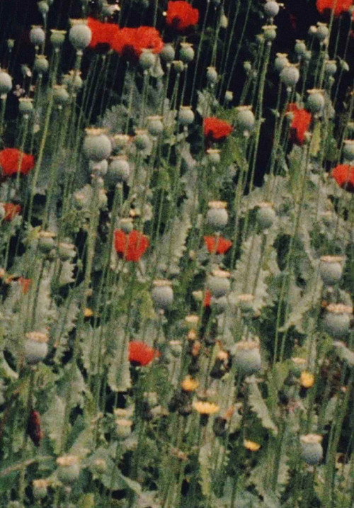 Place of Work Poster