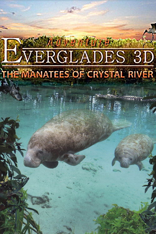 Adventure Everglades 3D - The Manatees of Crystal River Poster
