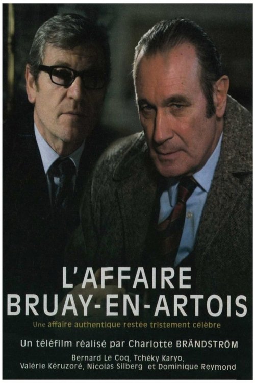 L'Affaire Bruay-en-Artois Poster