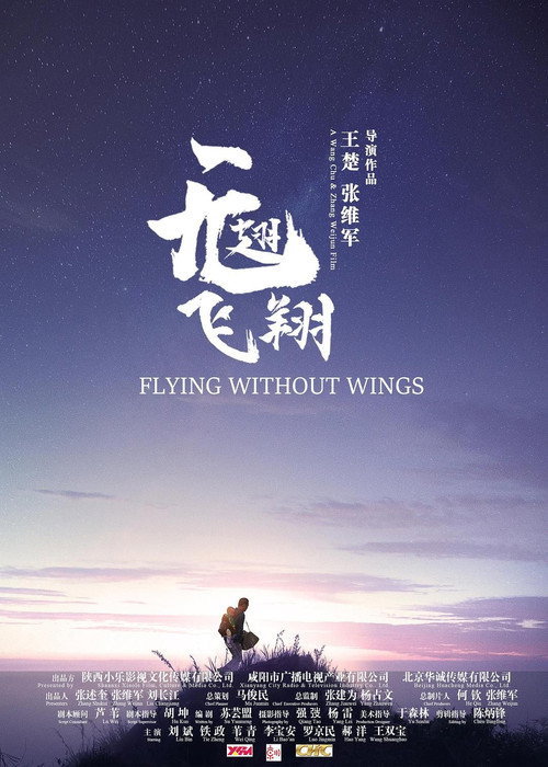 无翅飞翔 Poster