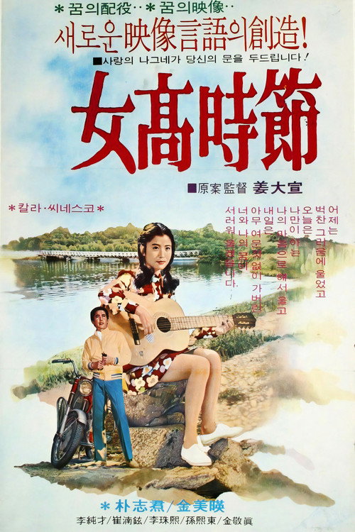 Girls' High School Days Poster