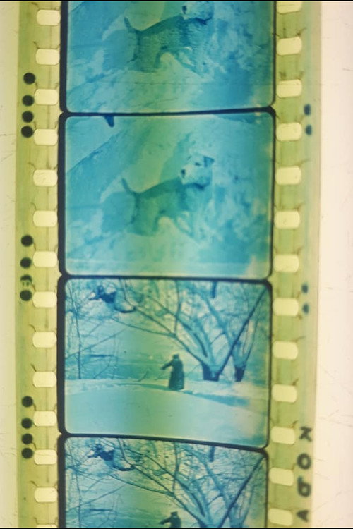 When Winter Comes Poster