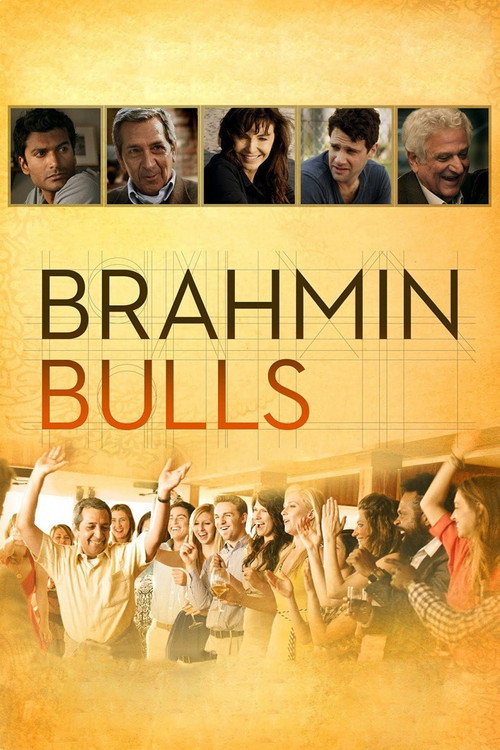 Brahmin Bulls Poster