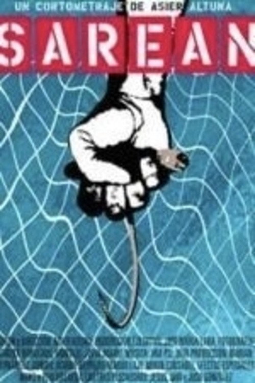 In the Net Poster