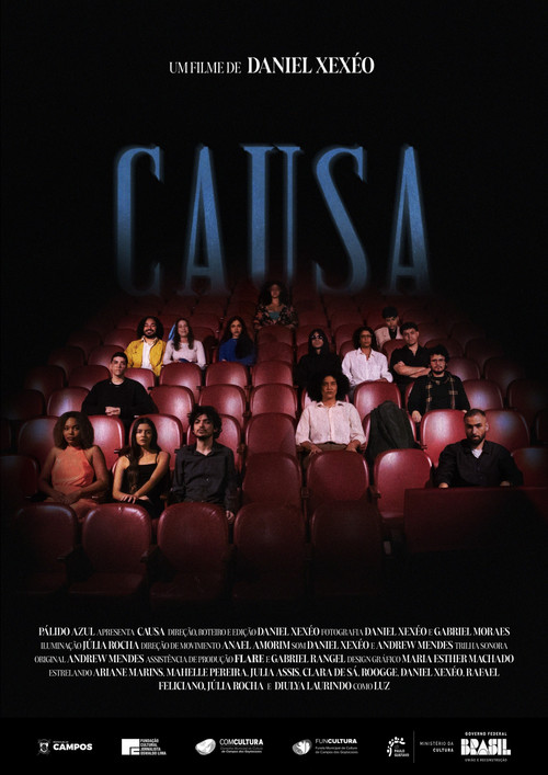 Causa Poster