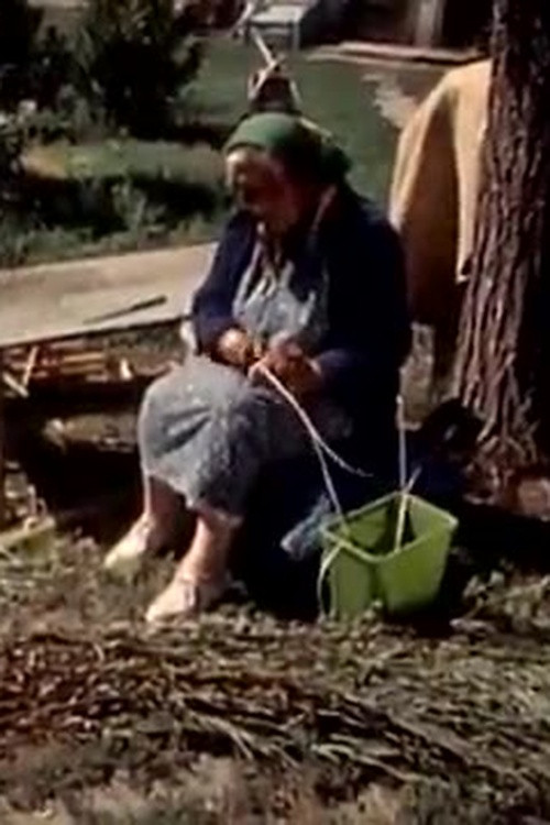 The Earth is Our Home Poster