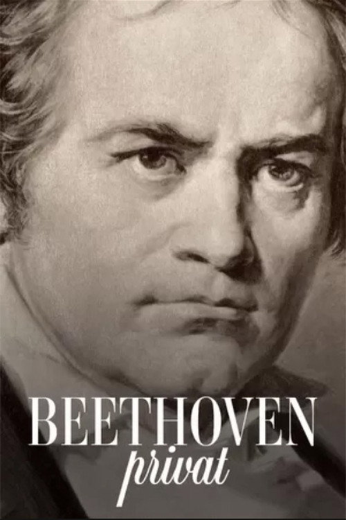 Beethoven privat Poster