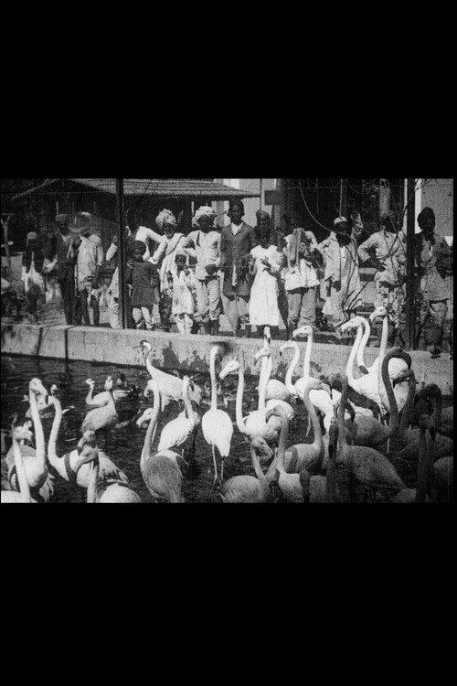 Indian Scenes Poster