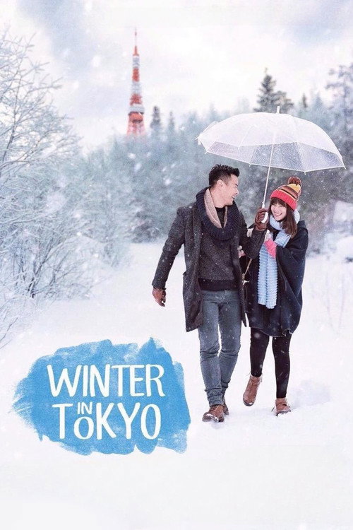 Winter in Tokyo Poster