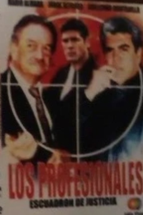 Los Profesionales Poster
