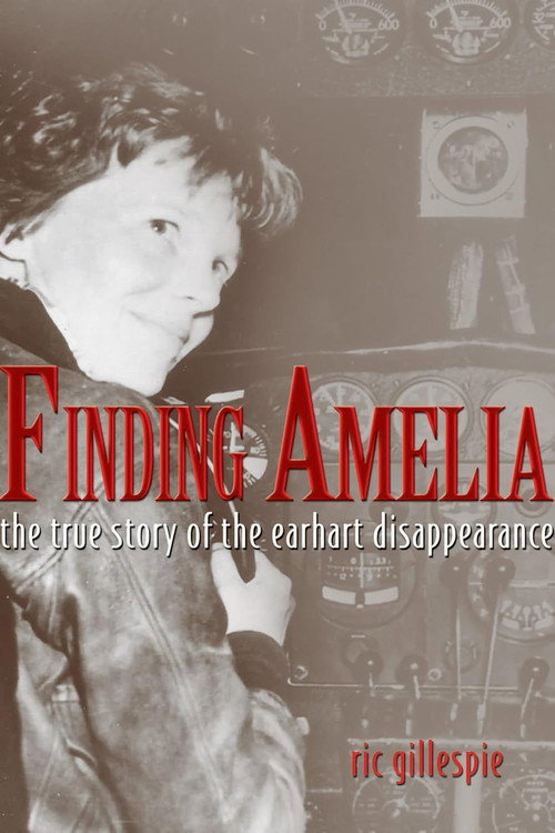 Finding Amelia Poster