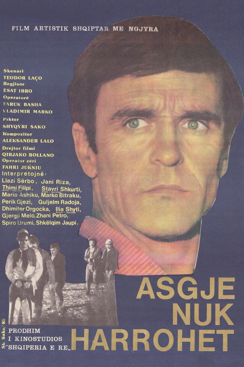 Nothing is Forgotten Poster