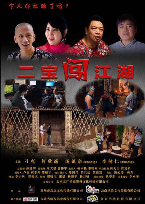二宝闯江湖 Poster