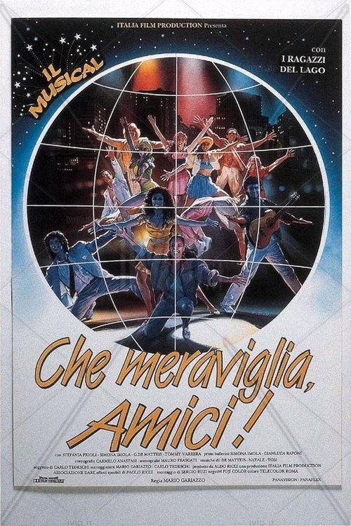 Che meraviglia, amici! Poster