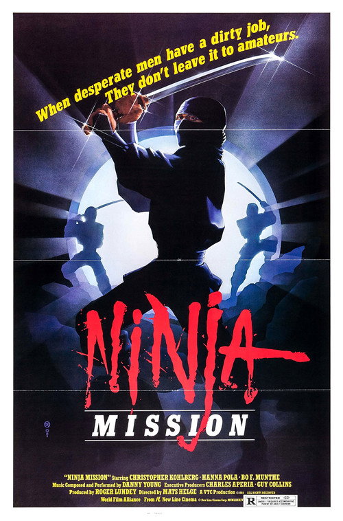 The Ninja Mission Poster