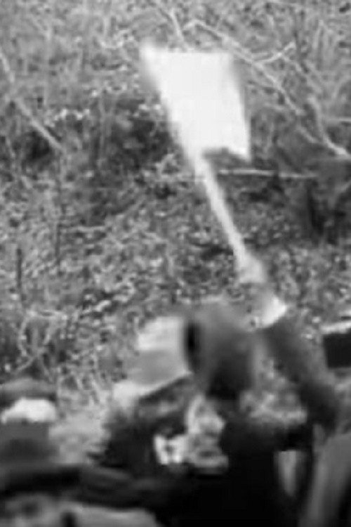 The Romanian Minister Istrate Visits Gopesh Poster