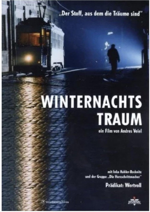 А Winter's Night Dream Poster