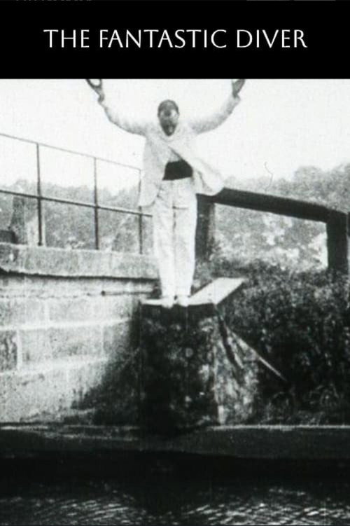 The Fantastic Diver Poster