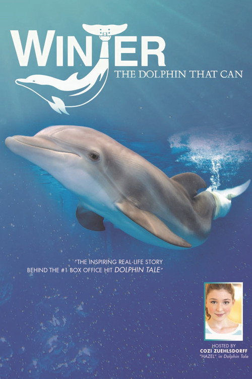 Winter, the Dolphin That Can Poster