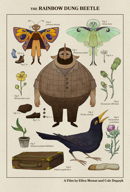 The Rainbow Dung Beetle Poster