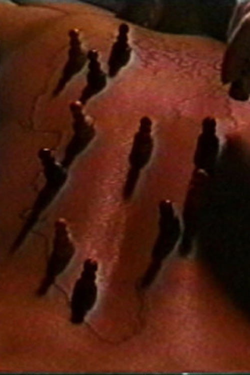 Unmapping Desire Poster