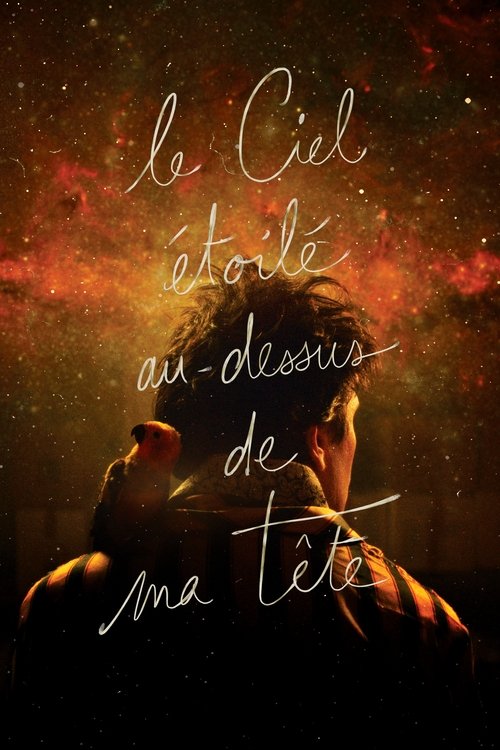 The Starry Sky Above Me Poster